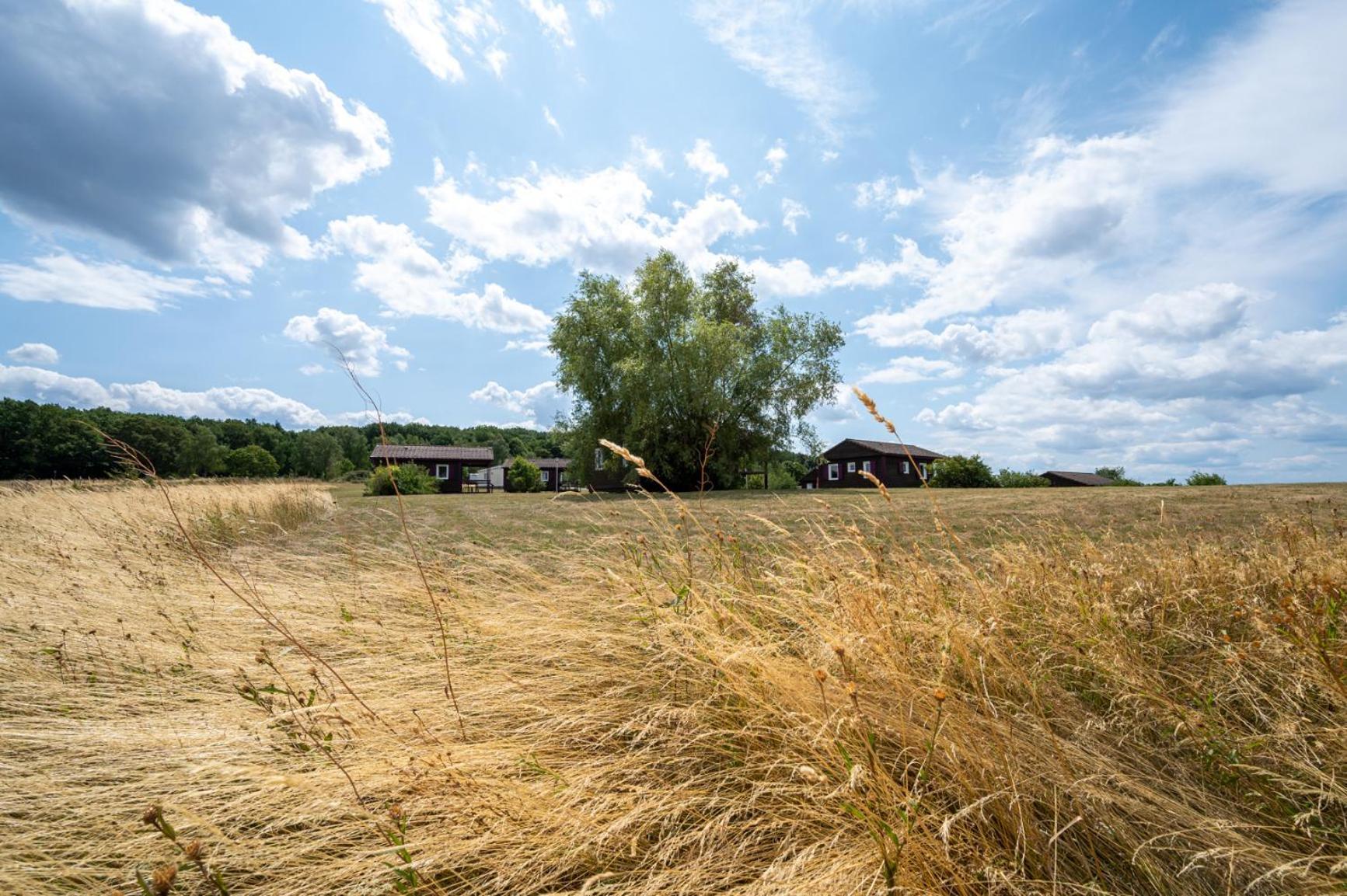 Camping Les Vosges Du Nord Oberbronn Exterior foto